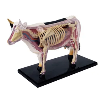 4D Vision Анатомия коровьих органов Игрушка-головоломка с животными для детей и студентов-медиков Модель обучения ветеринарии